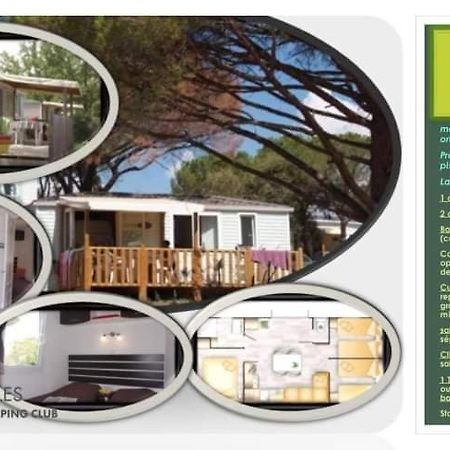 Mobil Home Detente 8 Personnes Le Muy Eksteriør billede